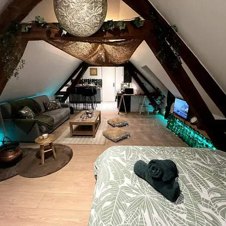 Apartamento De Charme La Croix-Saint-Ouen